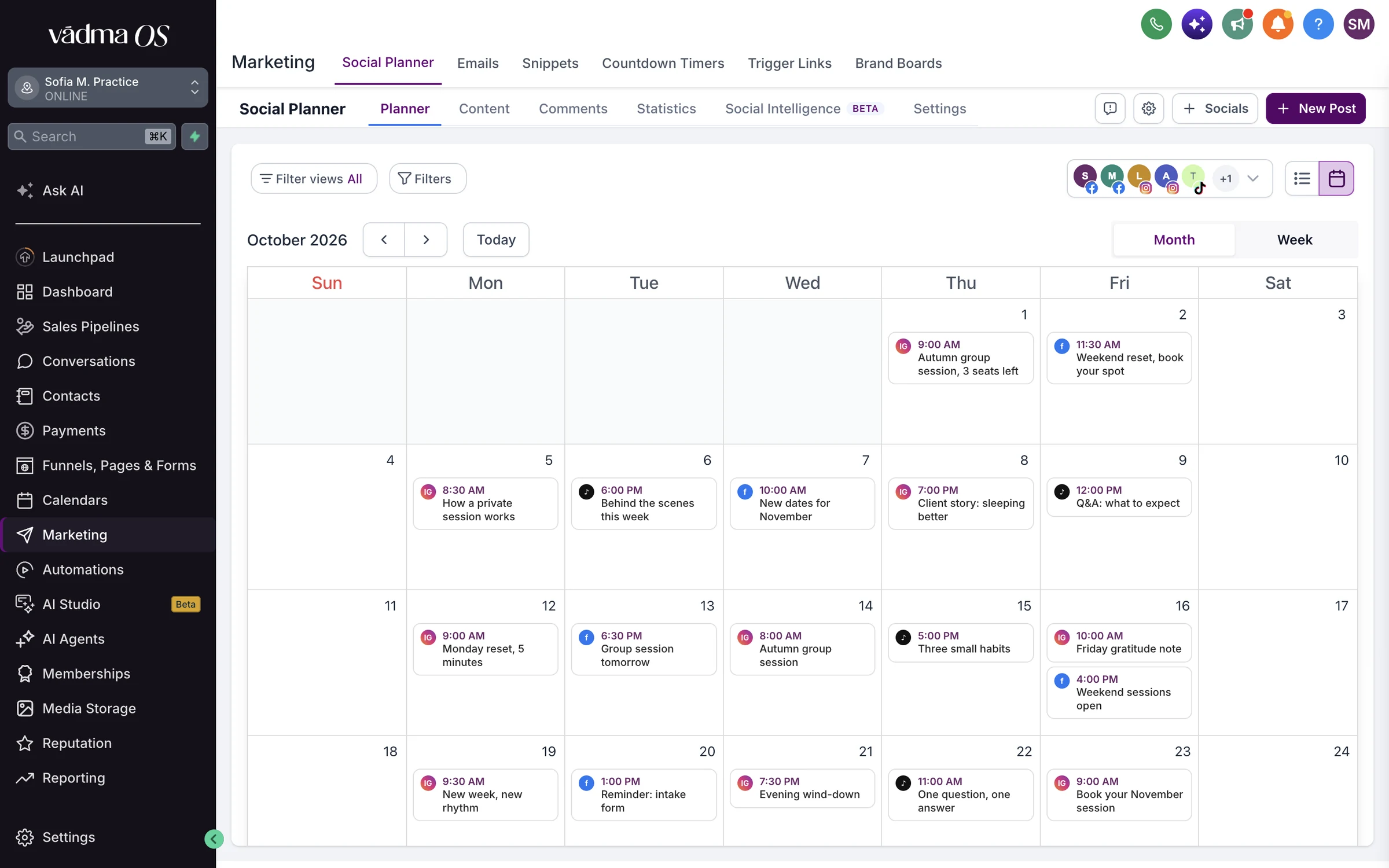 The VādmaOS social planner: a month calendar with Instagram, Facebook and TikTok posts scheduled on each day